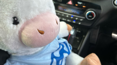 Hyundai Tucson 1.6 CRDi 48V MHD 136 N Line 5dr 2WD DCT Diesel Estate